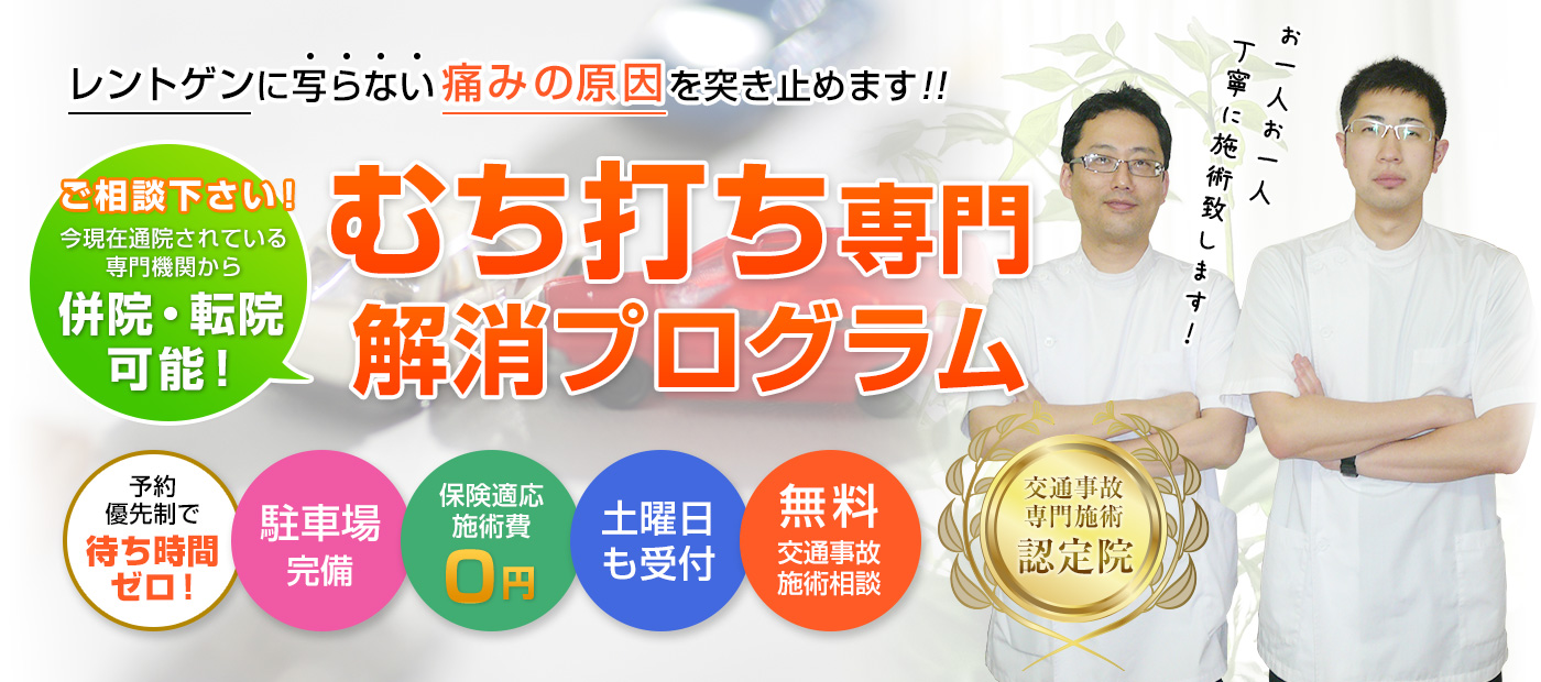 川越市の交通事故治療専門院 川越市交通事故むちうち治療専門整骨院